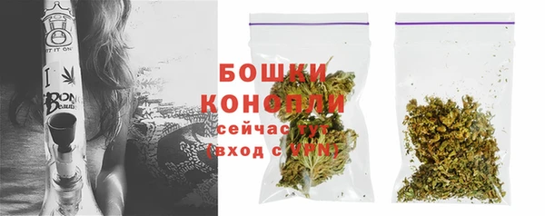 ГАЛЛЮЦИНОГЕННЫЕ ГРИБЫ Верхнеуральск