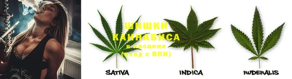 эйфоретик Верея